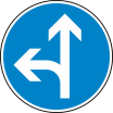 Verkehrszeichen 214-10 StVO, Vorgeschriebene Fahrtrichtung geradeaus oder links