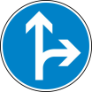 Verkehrszeichen 214 StVO, Vorgeschriebene Fahrtrichtung geradeaus oder rechts