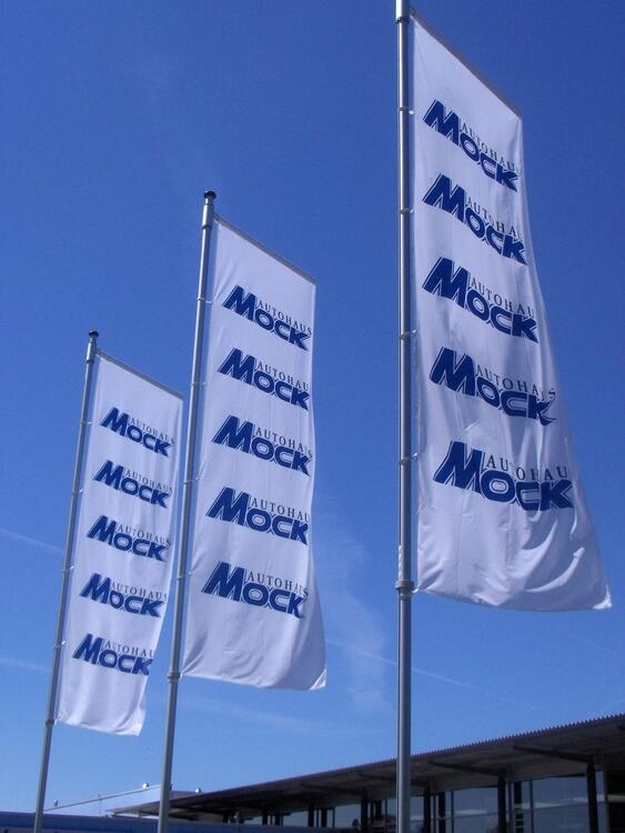 Länderflagge Slowenien, Hochformat, verschiedene Größen, 110 g/m² oder 160 g/m² -