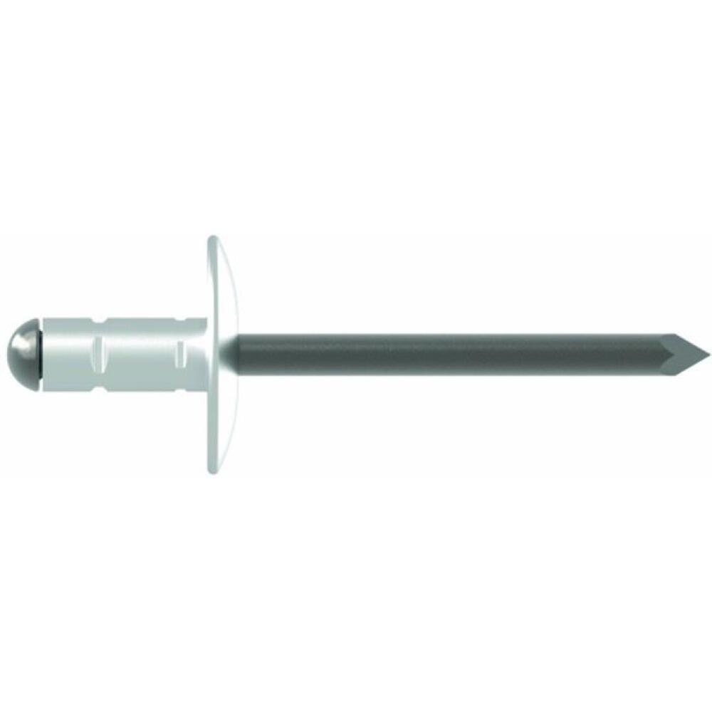 Blindniet PolyGrip&reg; 4,0-4,8mm, 10-17mm, K12/K16, Alu./STA, 250/500 Stk, Gro&szlig;kopf, mit Sollbruchdorn