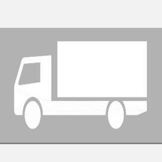 PREMARK Straßenmarkierung aus Thermoplastik 'Sonderzeichen LKW'