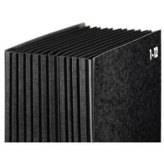 PAGNA Pultordner Classic DIN A4, 12 Fächer, Jan-Dez, Hartpappe, schwarz, Blauer Engel