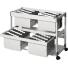 DURABLE Hängemappenwagen TROLLEY 200 MULTI DUO lichtgrau, 2 Hängevorrichtungen, Teleskopschienen